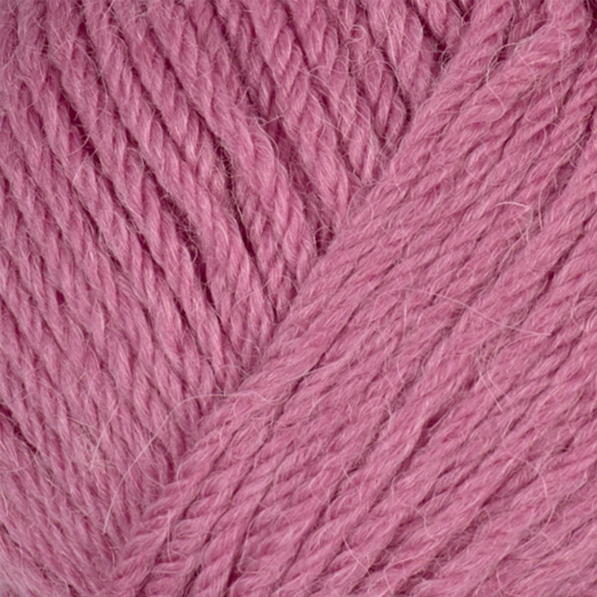 Alpaca Storm by Viking